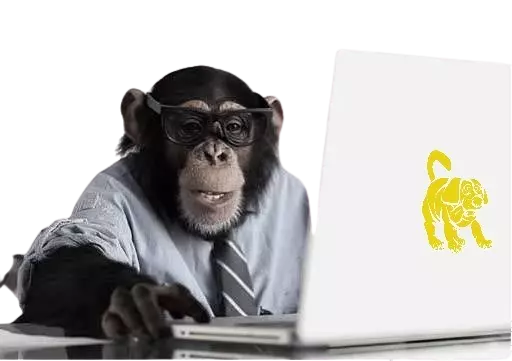Programinė inžinierija